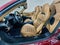 2023 Ferrari SF90 Spider Base