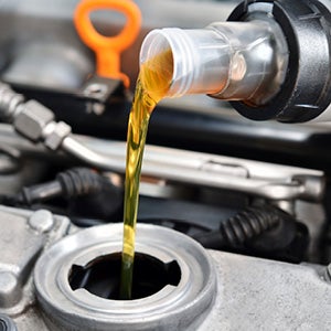 Oil and Filter Change